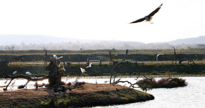 位在龍鑾潭東岸的「鳥族8太空站」是私人復育的溼地，近來復育成效愈趨顯著，力展生態經濟軟實力。（圖／中國時報謝佳潾攝）