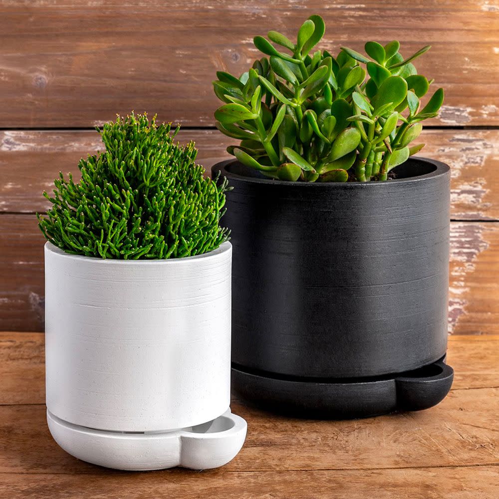 <p><a href="https://go.redirectingat.com?id=74968X1596630&url=https%3A%2F%2Fwww.westelm.com%2Fproducts%2Fthe-simple-pot-1-quart-d8854&sref=https%3A%2F%2Fwww.housebeautiful.com%2Fshopping%2Fhome-accessories%2Fg60683404%2Fbest-self-watering-planters-and-pots%2F" rel="nofollow noopener" target="_blank" data-ylk="slk:Shop Now;elm:context_link;itc:0;sec:content-canvas" class="link rapid-noclick-resp">Shop Now</a></p><p>The Simple Self-Watering Pot</p><p>West Elm</p><p>$129.00</p>