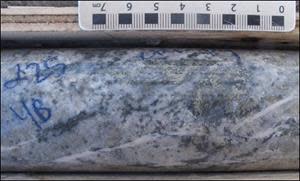 Blue Sky Zone, coarse chalcopyrite (Cpy) and pyrite (Py) mineralization from RVD21-05 at 160.30 metres. This 1.5-metre sample interval from 160 metres returned 0.41 g/t Au, 10.10 g/t Ag, 0.40% Cu, and 0.028% Mo.