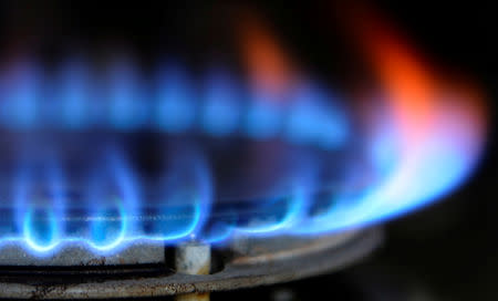 FILE PHOTO: A gas cooker is seen in Boroughbridge, northern England in this November 13, 2012 photograph. REUTERS/Nigel Roddis/File Photo