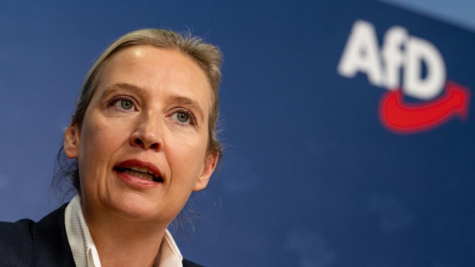 Die AfD hat sich nach dem umstrittenen Rechte-Treffen von einem Mitarbeiter der Parteichefin Alice Weidel getrennt. (Bild: dpa)