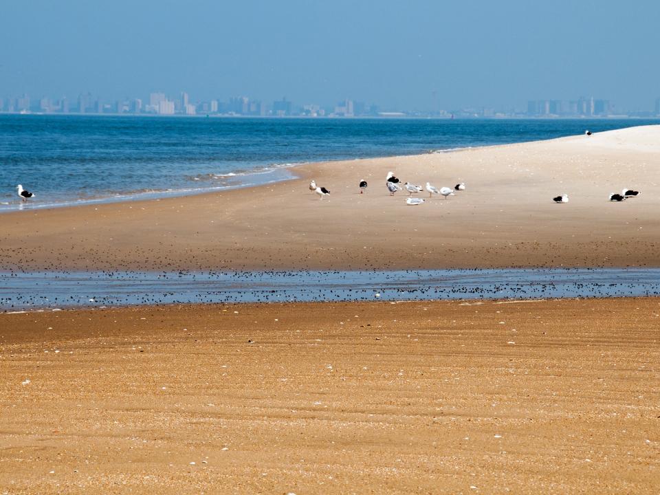 Sandy Hook, Gateway National Recreation Area, New Jersey