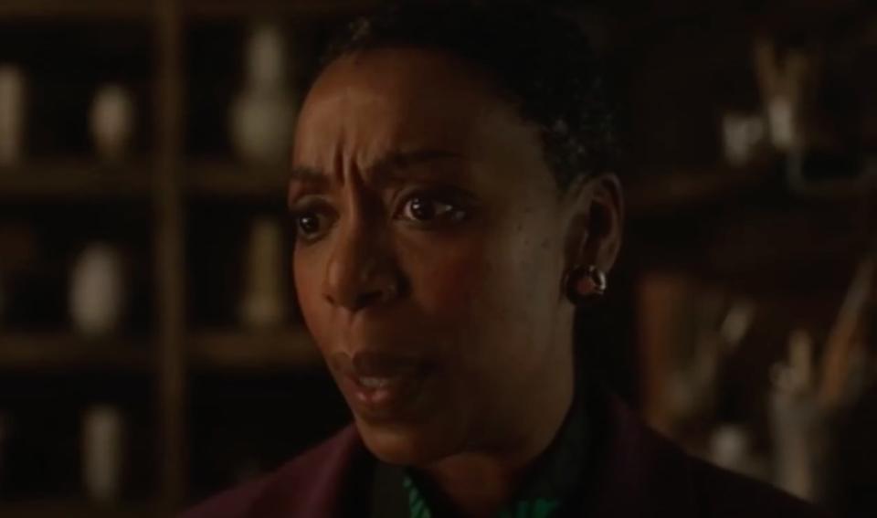 Noma Dumezweni as Theodora Birch in The Watcher