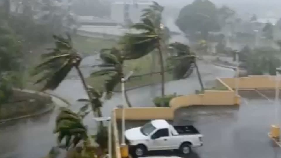 Strong winds from Typhoon Mawar bend trees in the parking lot of the Guam Plaza Resort and Spa in Tamuning on Wednesday. - Jun Manalac/Reuters