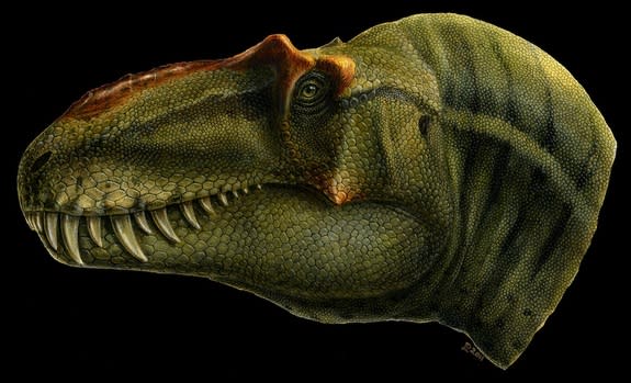 An artist's depiction of new tyrannosaur <i>Lythronax argestes</i>, which had a relatively narrow snout and a wide skull around the eyes.