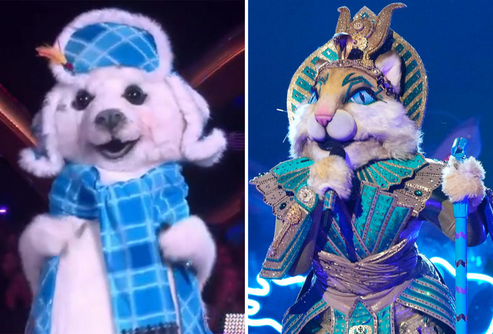 Masked Singer’s Newest Wild Card Dethrones Cleocatra — Who Is She?