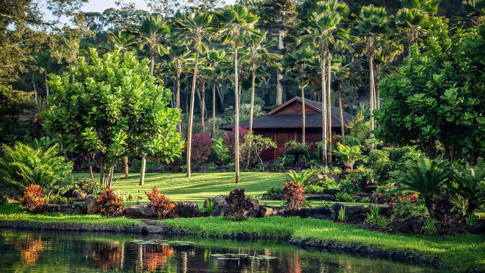 Sensei Lanai Hawaii