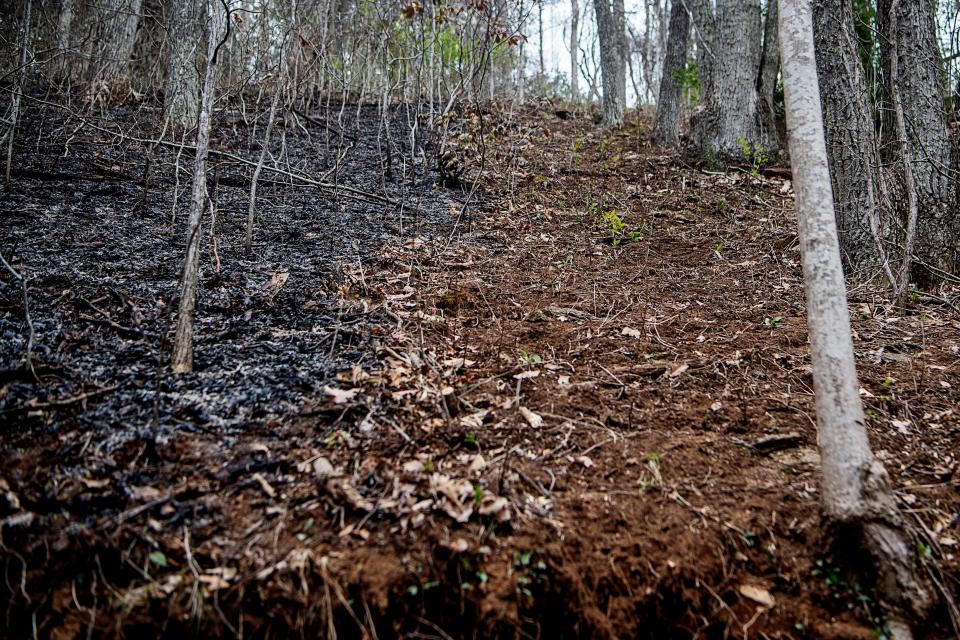 Members of the Forest Service were on Spivey Mountain April 3, 2023, the day after a wildfire broke out in high winds.