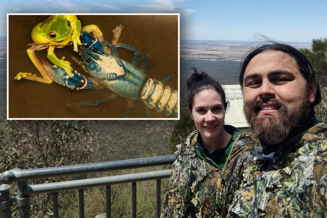 Couple's 'incredibly rare sight' in national park: 'Craziest thing we've ever seen'