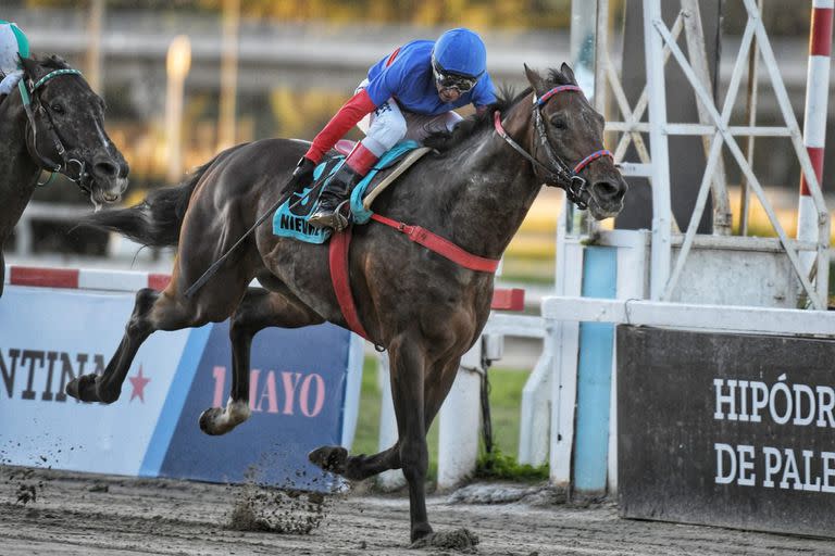 Nievre ganó por la cabeza el República Argentina, el mes pasado, y defiende la corona entre los fondistas en la arena