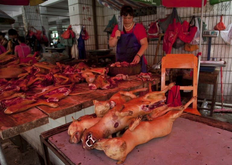 Northeastern Thailand is a significant contributor to the wider regional dog trade to meet demand for the meat in China