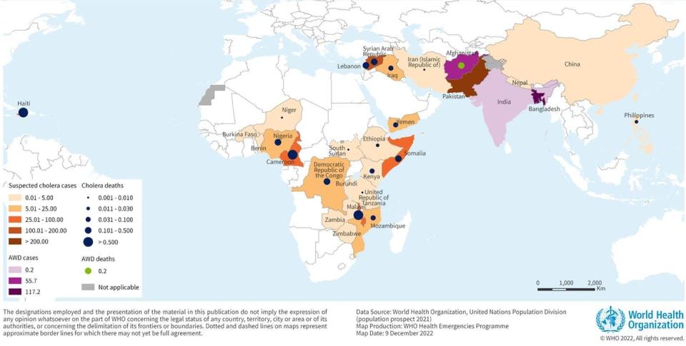 Países afectados actualmente por el cólera. <a href="https://cdn.who.int/media/images/default-source/emergencies/disease-outbreak-news/map_global_cholera_don.jpg?sfvrsn=424d2ed9_5" rel="nofollow noopener" target="_blank" data-ylk="slk:OMS;elm:context_link;itc:0;sec:content-canvas" class="link ">OMS</a>