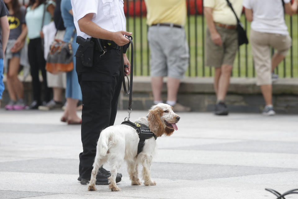 A Uniformed Division Secret Service police officer patrols with a dog on Pennsylvania Avenue in front of the White House in Washington, Wednesday, July 9, 2014. The Secret Service has started deploying specialized canine units to help protect the area around the White House grounds, where tourists flock day and night to catch a glimpse of 1600 Pennsylvania Ave. Although the Secret Service has used police dogs since 1976 to pre-screen areas for presidential visits, this is the first time theyâre being broadly deployed among the general public. (AP Photo/Charles Dharapak)