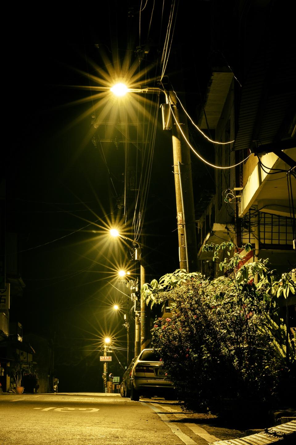 高雄六龜路燈照明改善，有效降低90%的琉璃蟻危害。（圖片提供／光林智能）