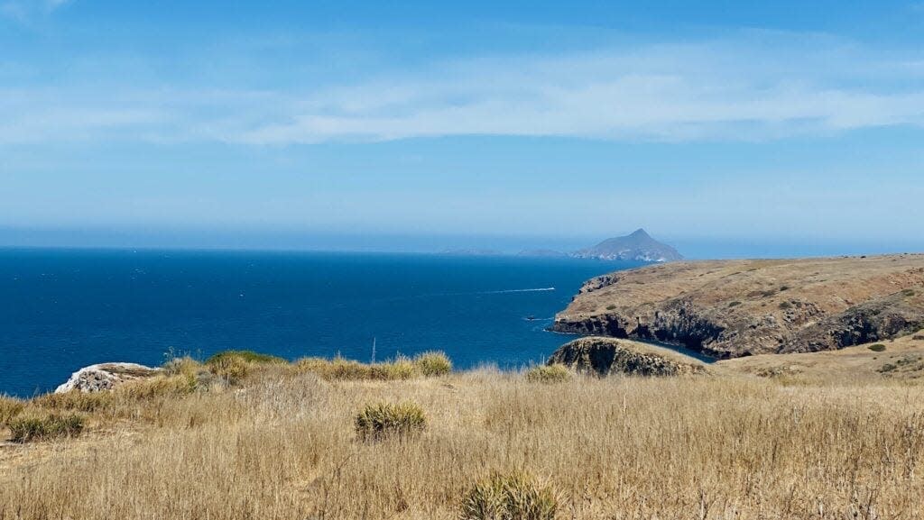 Channel Islands National Park is a great Southern California alternative to Joshua Tree.