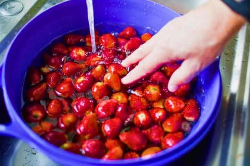 Picture of someone washing strawberries