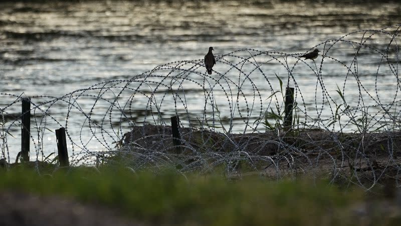 Birds rest on concertina wire, or razor wire, along the Rio Grande in Eagle Pass, Texas, July 6, 2023.