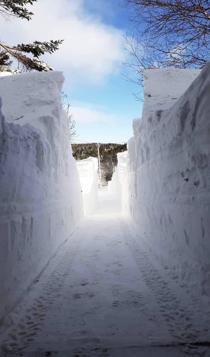 A snow-covered driveway