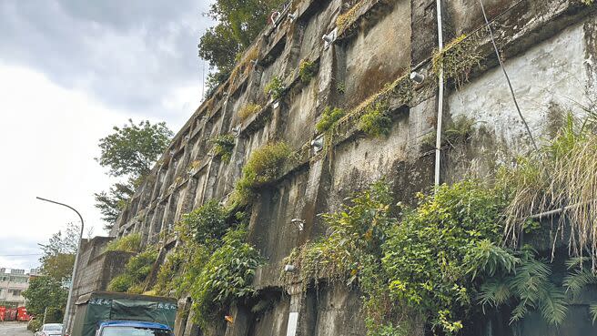 基隆市教忠街一帶的地錨式擋土牆已經超過25年，基隆市政府編列預算做檢測，以維護當地民眾生命財產安全。（張志康攝）