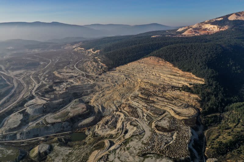 The Wider Image: Turkish olive farmer battles to save her land from coal mine