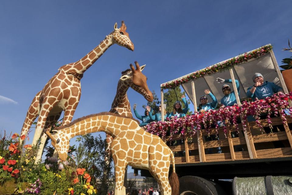 A Rose Parade float with giraffes.