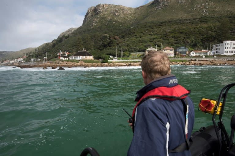 Marine patrol officers look for illegal hunters of abalone which can fetch from $300 per kilogramme to over $10,000