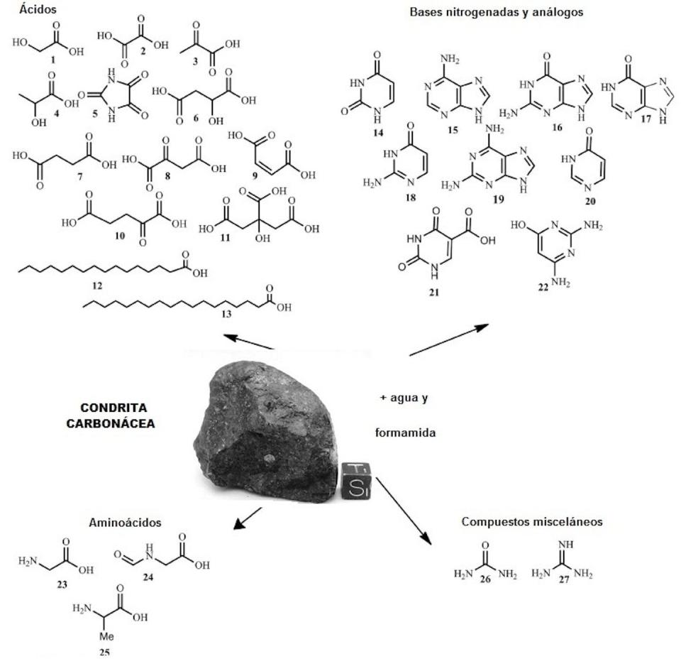 Esquema sintético de los compuestos orgánicos catalizados por condritas carbonáceas en presencia de agua y formamida (véase el texto para más detalles). Se muestra en el centro GRO 95551 en una foto de NASA (Adaptado de Rotelli et al., 2016)