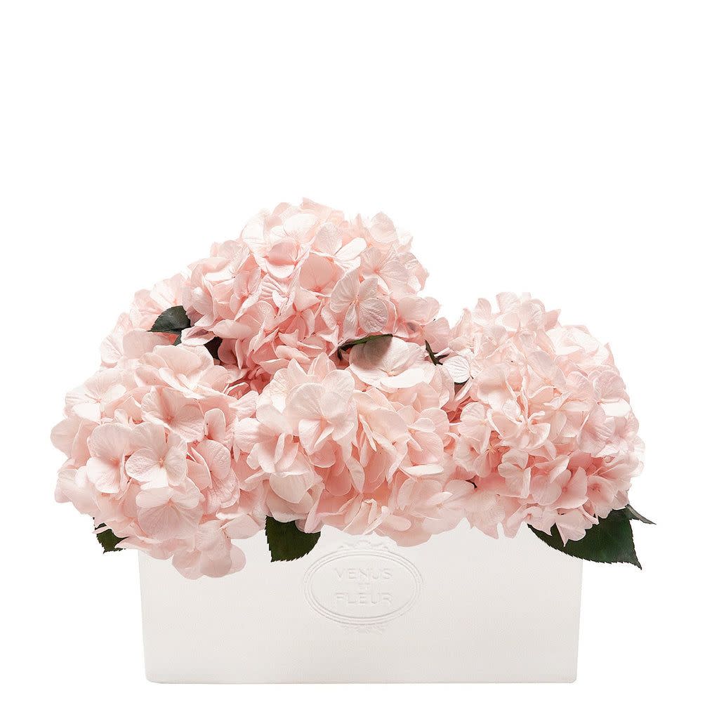 <p><a href="https://go.redirectingat.com?id=74968X1596630&url=https%3A%2F%2Fwww.venusetfleur.com%2Fcollections%2Fhydrangeas%2Fproducts%2Fserene-porcelain-vase-hydrangeas%3Fvariant%3D41466245120044&sref=https%3A%2F%2F" rel="nofollow noopener" target="_blank" data-ylk="slk:Shop Now;elm:context_link;itc:0;sec:content-canvas" class="link rapid-noclick-resp">Shop Now</a></p><p>Serene Porcelain Vase</p><p>venusetfleur.com</p><p>$549.00</p>