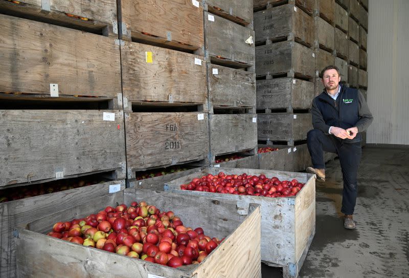 British fruit farmer to move away from apple growing at Loddington Farm fruit farm near Maidstone