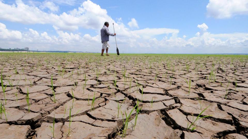 Cambio climático