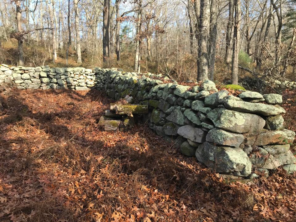 A well-preserved set of double stone walls are at the northwest corner of Browning Woods Farm in South Kingstown.