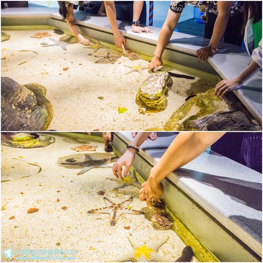 澎湖水族館