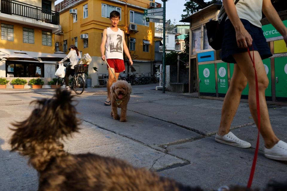 Jesse walks his dogs with his girlfriend (Reuters)