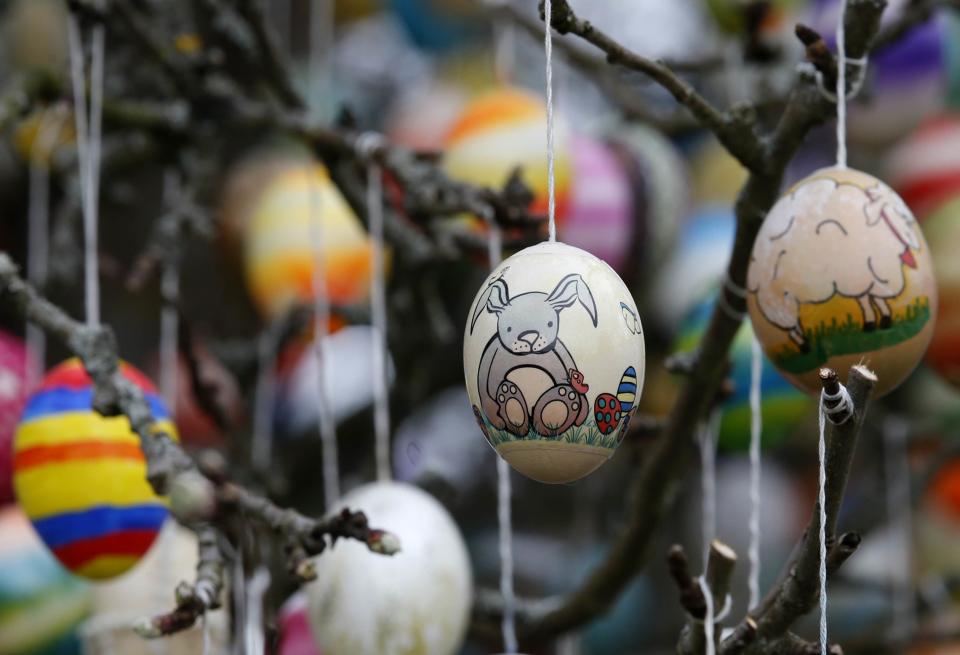 Easter eggs adorn an apple tree in the garden of the summerhouse of German pensioners Christa and Volker Kraft in Saalfeld