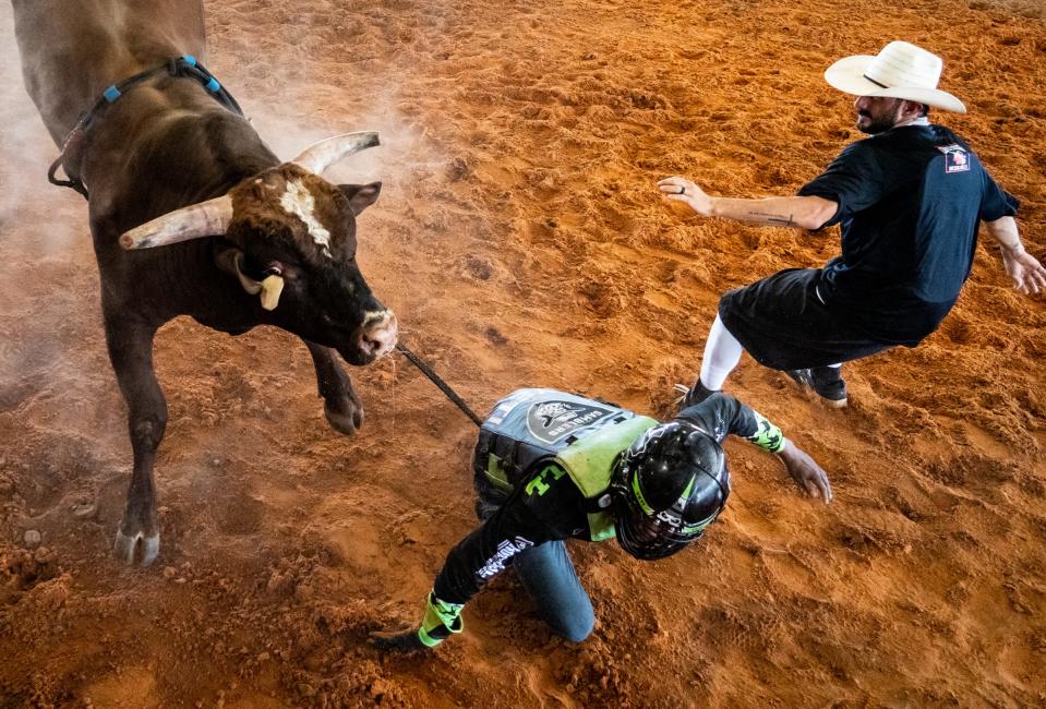 A bullfighter rushes to aid Austin Gamblers rider Ezekiel Mitchell, center, after he is bucked off during a ride at practice in Thrall last month. Bullfighters protect the riders by controlling the bulls and getting them out of the arena after the ride.