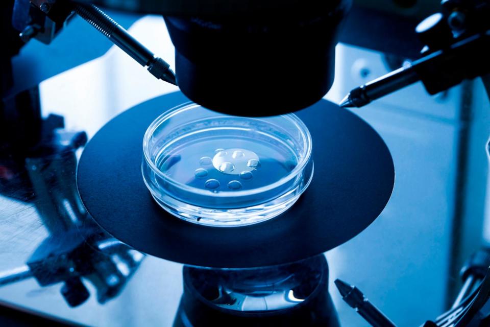 PHOTO: IVF treatment (STOCK PHOTO/Getty Images)