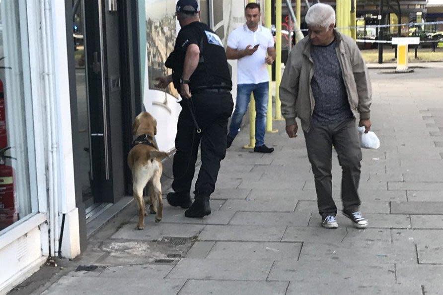 An explosives sniffer dog at the scene in Southgate (@darrenyarlett)