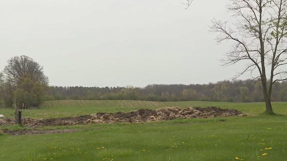 Wayne Lambarth's neighbour built a wall out of manure, reportedly after a dispute. Source: Fox 2