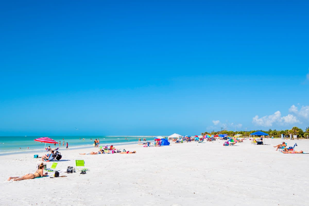 A great beach, yes – but Fort De Soto Park is also the gateway to the Great Florida Birding Trail (Getty Images)