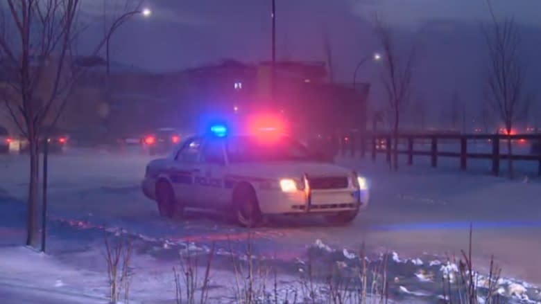 Police not surprised B.C. men found shot dead in Edmonton