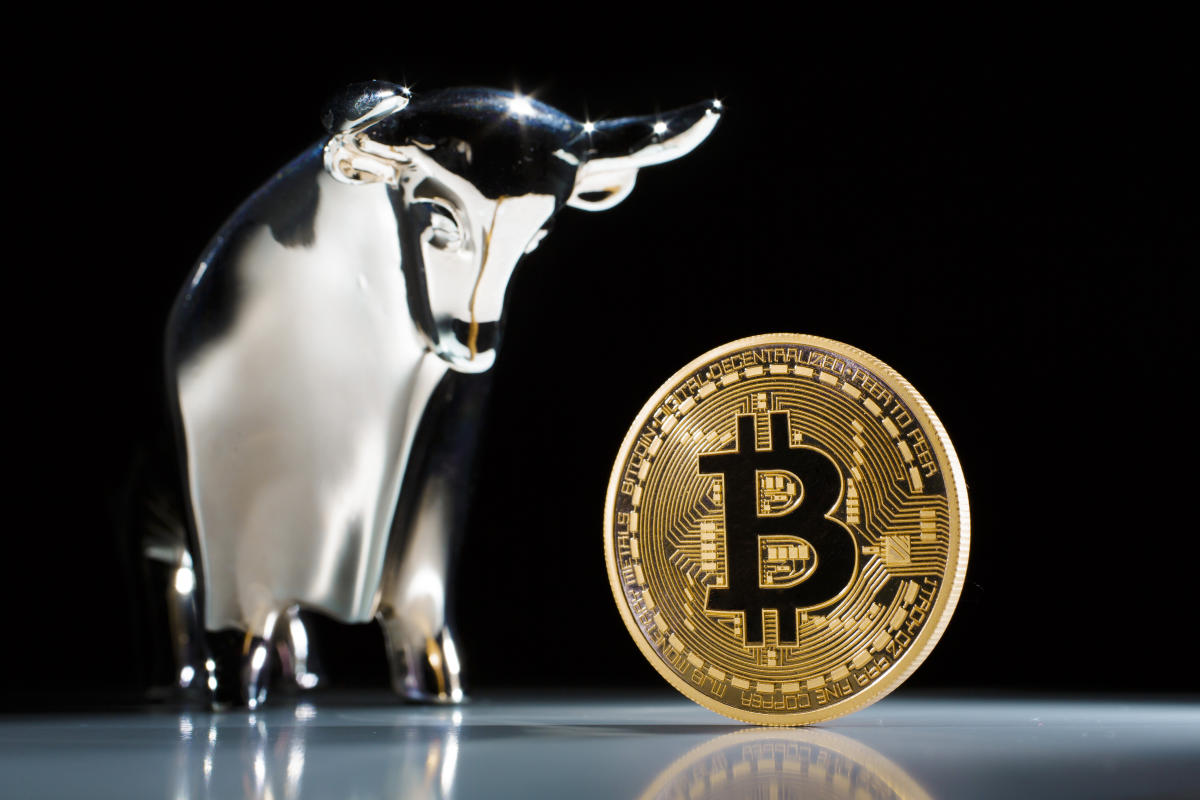 bitcoin-hits-new-all-time-highs-above-usd67-000-leading-cryptocurrencies-on-fresh-bull-run