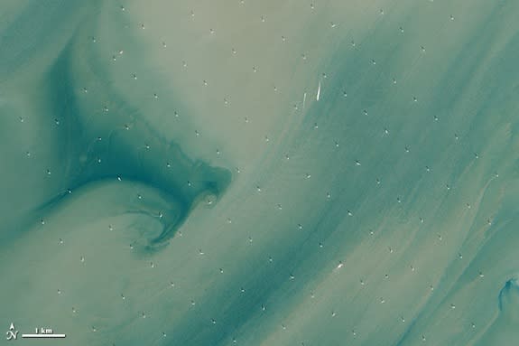 The Landsat 8 satellite captured this image of the London Array, the world's largest offshore wind farm. In this photo, taken on April 28, 2013, the white dots are wind turbines.