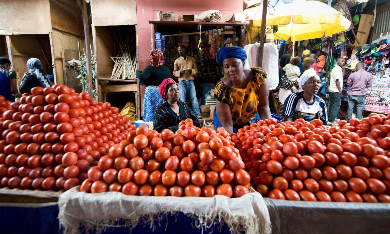 <span>Photograph: Claudia Wiens/Alamy</span>