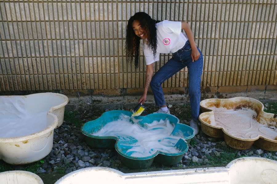 Research Analyst Ashley Bolden scrubbed down a doggie pool at the Greater Huntsville Humane Society (photo: Cristina Byrne, WHNT)