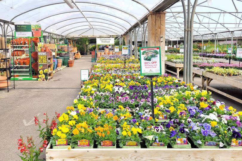 Plant section at Woodthorpe