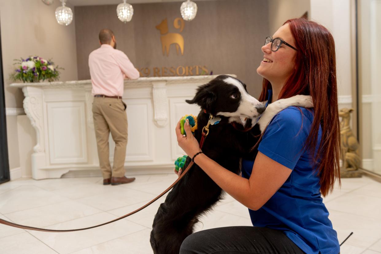 K9 Resorts Luxury Pet Hotel is opening its first Wisconsin location, 19255 West Bluemound Road in Brookfield, on Aug. 12.