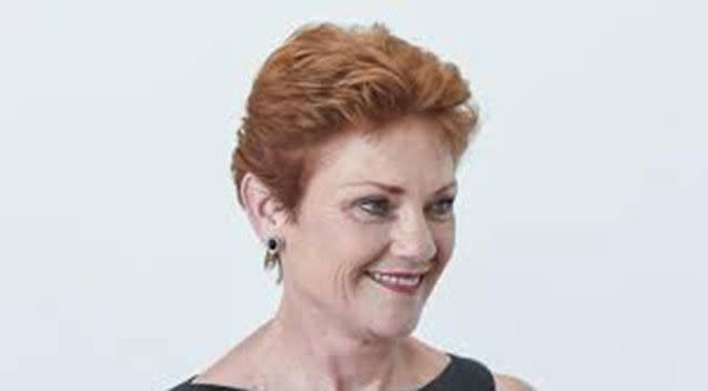 Pauline Hanson's One Nation was the best performing small party, coming in after the Greens and Nationals.