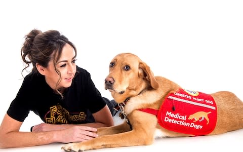 The dogs are specially trained to detect the odour of low blood sugar and alert their owners  - Credit: Medical Detection Dogs&nbsp;