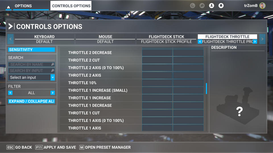 Microsoft Flight Simulator settings screen