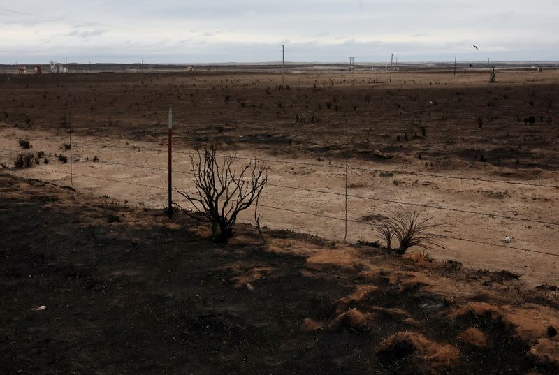 A landscape charred by wildfires is pictured near Skellytown
